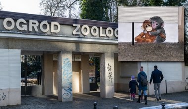 Polak namalował mural ze słynną małpką. Teraz może mieć problemy