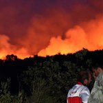 Polak oskarżony o podpalenie lasu w Czarnogórze apeluje do Zbigniewa Ziobry
