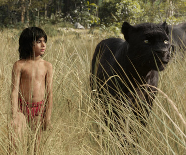 Polak pracował nad efektami nagrodzonego Oscarem filmu "Księga dżungli"