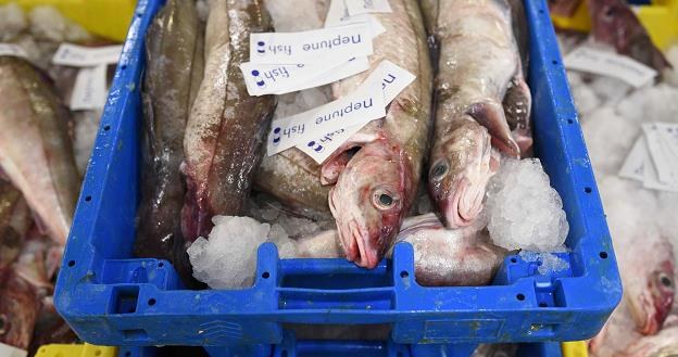 Polak spożywa ok. 12 kg ryb w ciągu roku /AFP