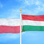 Polak, Węgier - dwa bratanki