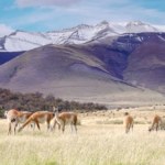 Polak złamał regulamin parku. 60 tys. zł mandatu i zakaz wjazdu do kraju