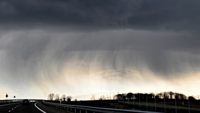 Połamane drzewa i pozrywane dachy. Niemal 55 tysięcy odbiorców bez prądu 