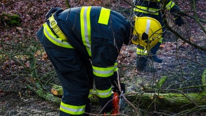 Połamane drzewa i uszkodzone auta. Lubelszczyzna po burzy
