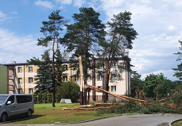 Połamane drzewa po burzy i wichurze w Otwocku /Otwock, miasto z dobrym klimatem /