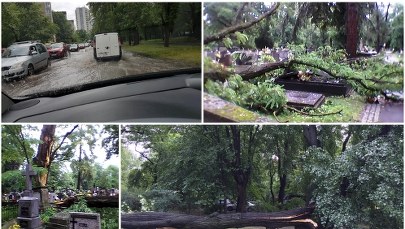 Połamane drzewa, podtopione budynki. Nawałnica przeszła nad Krakowem