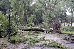 Połamane drzewa, uszkodzone dachy po burzach na Podkarpaciu