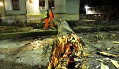 Połamane drzewa, uszkodzone dachy