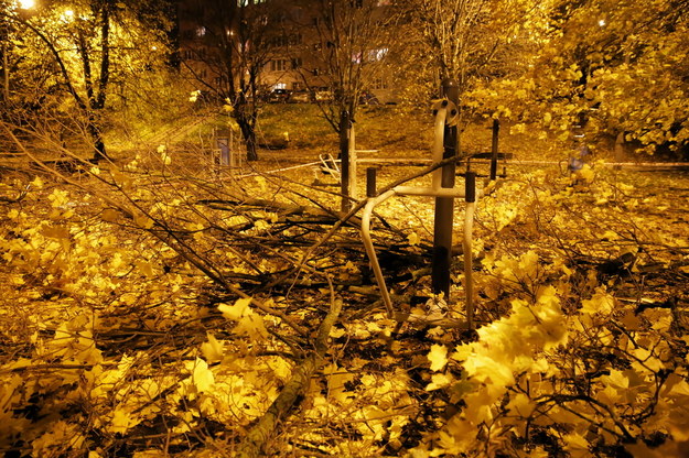 Połamane drzewa w parku Kusocińskiego w Olsztynie / 	Tomasz Waszczuk    /PAP