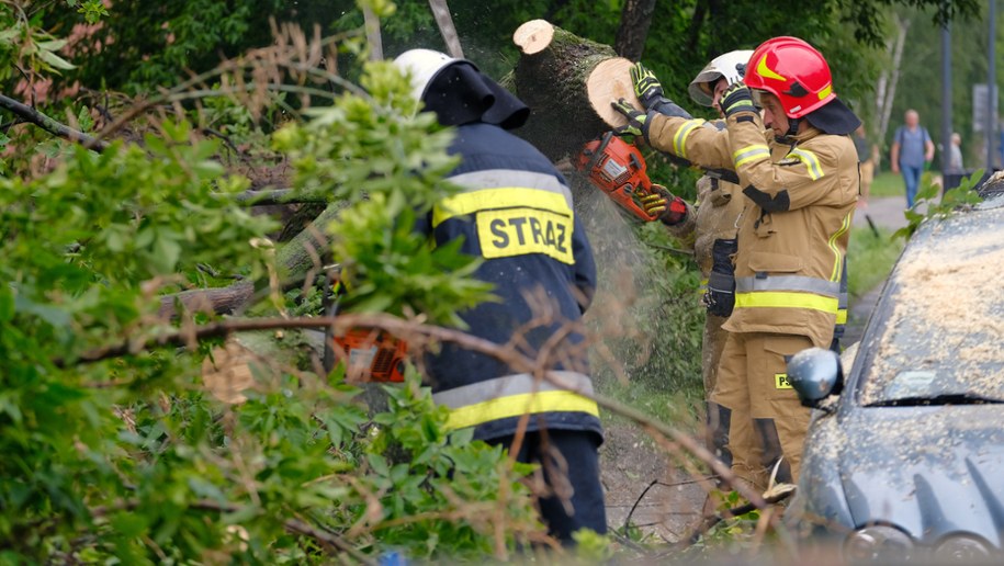 Połamane drzewa w Warszawie /Mateusz Marek /PAP