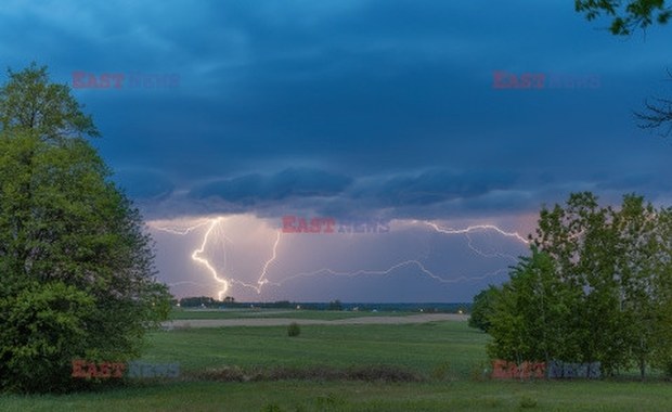 Połamane drzewa, zalane podwórka. Podkarpacie po burzach  