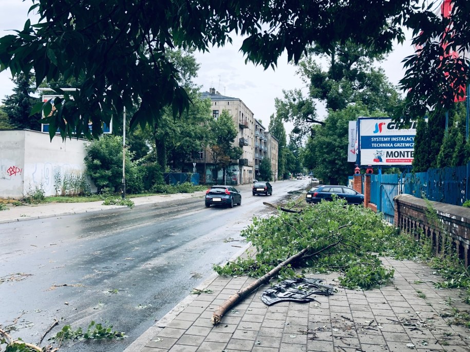 Połamane gałęzie na chodnika w Łodzi /Agnieszka  Wyderka /RMF FM
