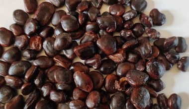 Polecany dla seniora, bo dba o stawy, oczy i ciśnienie. Można jeść jako suszoną przekąskę lub pastę