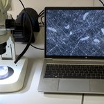 Poleciały z Polakiem w kosmos. Przeprowadzi na nich eksperymenty