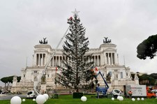 Polemika wokół planów kosztownej choinki na Placu Weneckim w Rzymie