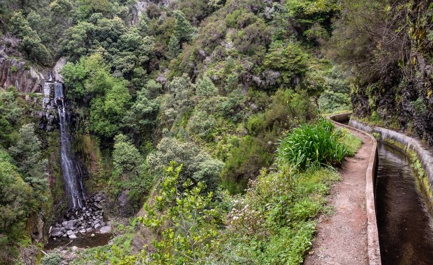 Policja leśna i drony. Kolejny dzień poszukiwań 31-letniego Polaka na Maderze