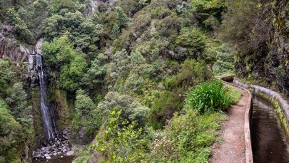 Policja leśna i drony. Kolejny dzień poszukiwań 31-letniego Polaka na Maderze