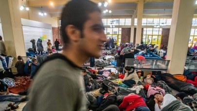 Policja likwiduje dzikie obozowisko migrantów w Pireusie. Powód: początek sezonu turystycznego