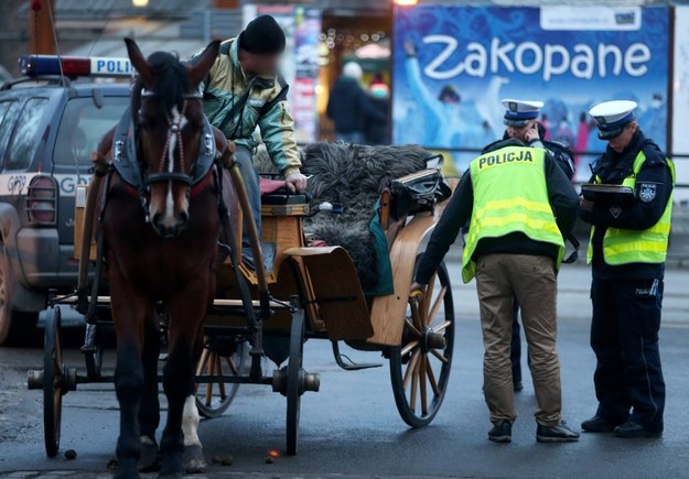Policja na miejscu wypadku, przy dorożce z której spłoszony koń ranił wcześniej woźnicę i turystkę /Grzegorz Momot /PAP