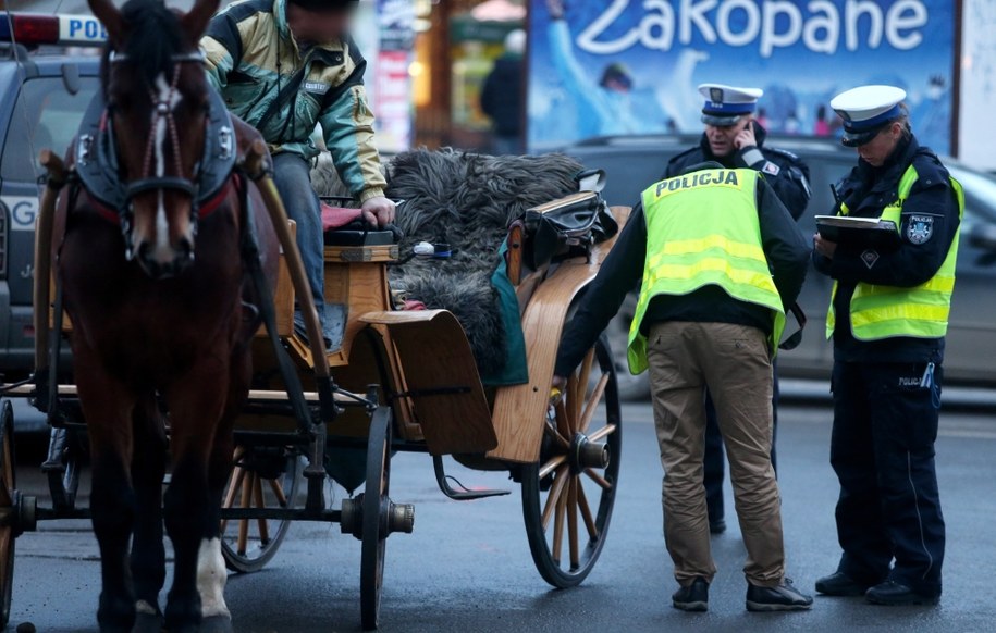 Policja na miejscu wypadku /Grzegorz Momot /PAP