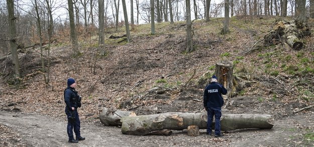 Policja na miejscu wypadku /Marcin Bielecki /PAP