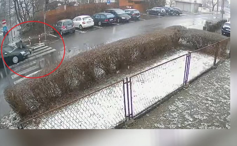 Policja pokazała nagranie wypadku /Policja