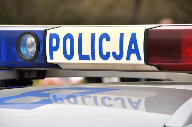 Policja poszukuje mężczyzny, który spowodował wypadek i uciekł z miejsca zdarzenia /123RF/PICSEL