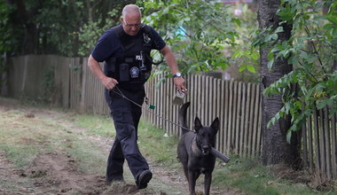 Policja przeszukuje działkę w Niemczech w związku ze sprawą Maddie