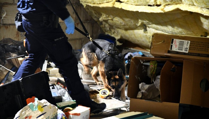 Policja rozbiła grupę z nielegalną bronią. Zabezpieczono arsenał