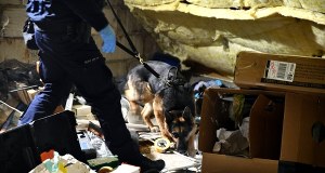 Policja rozbiła grupę z nielegalną bronią. Zabezpieczono arsenał