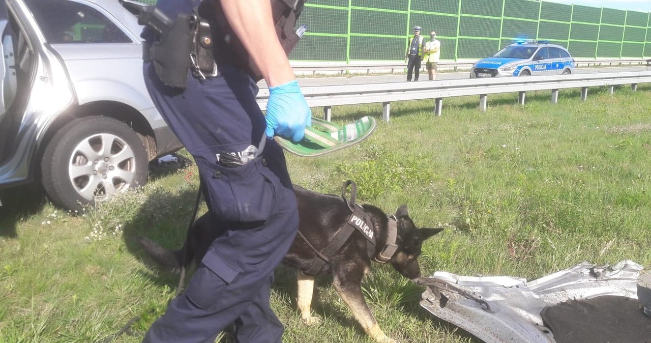 Policja użyła psów tropiących /Policja