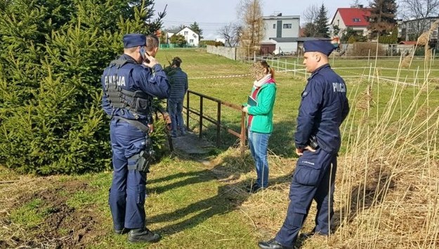Policja w Gliwicach /Policja