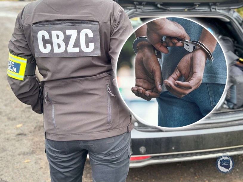 Policja z CBZC zatrzymała czterech członków grupy zajmującej się publikowaniem fałszywych ogłoszeń samochodów w Internecie. /fot. CBZC/123rf.com /