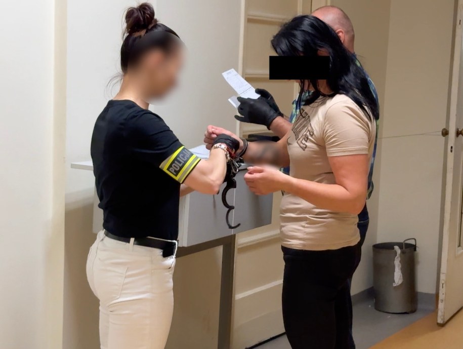 Policja zatrzymała członków grupy oskarżonej o sutenerstwo /policja.pl /Policja