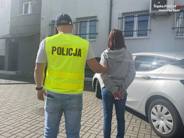 Policja zatrzymała dwie osoby /Śląska policja /Policja