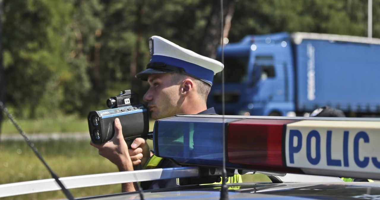 Policja zatrzymała już niemal 10 tys. praw jazdy /Piotr Jędzura /Reporter