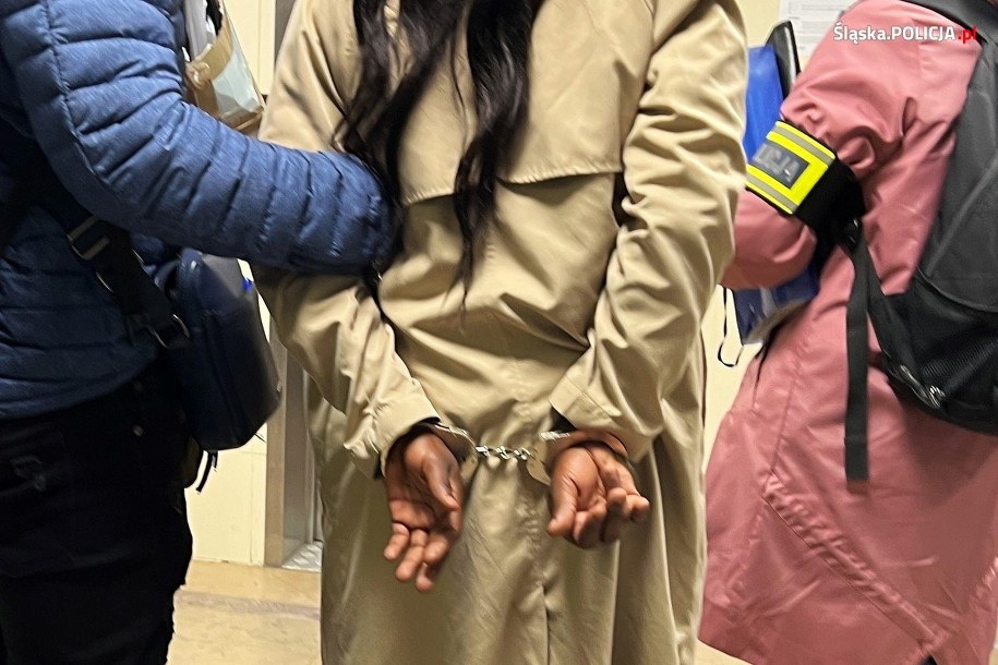 Policja zatrzymała trzech mężczyzn i trzy kobiety w wieku od 25 do 31 lat. /Śląska policja /