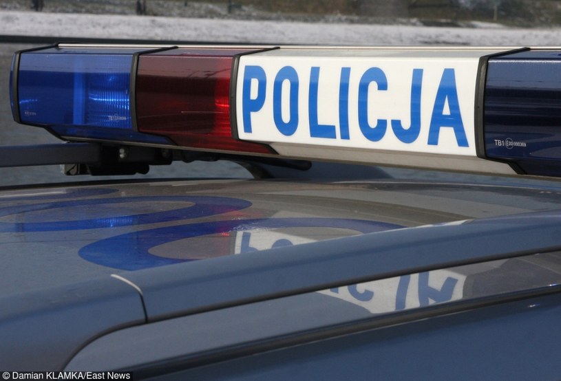 Policja; zdj. ilustracyjne /Damian Klamka /East News