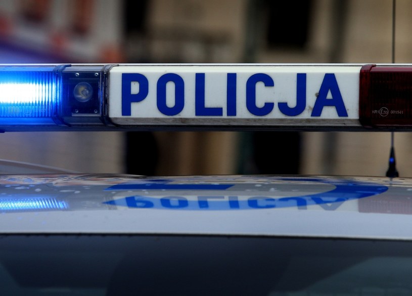 Policja; zdjęcie ilustracyjne /Damian Klamka /East News