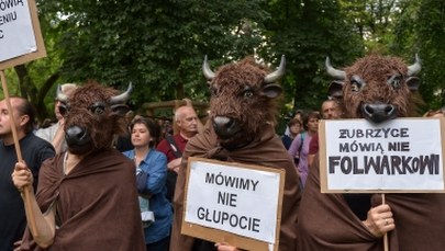 Policja złożyła wnioski o ukaranie osób protestujących w Puszczy Białowieskiej