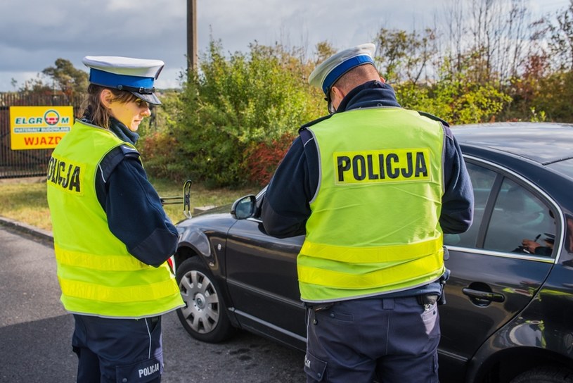 Policjanci będą już sprawdzać tylko prawo jazdy /Marcin Bruniecki /Reporter