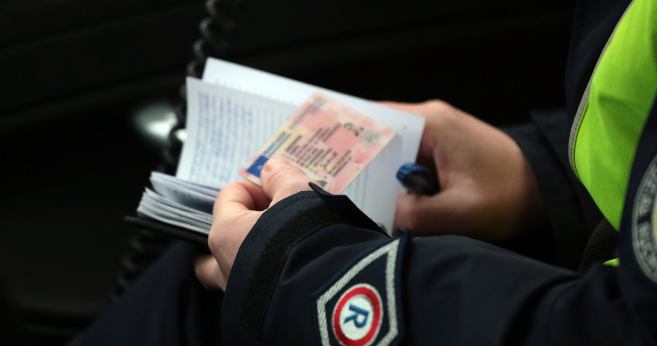 Policjanci będą mogli sprawdzić prawo jazdy online, więc dokument będziemy mogli zostawić w domu /Piotr Jędzura /Reporter