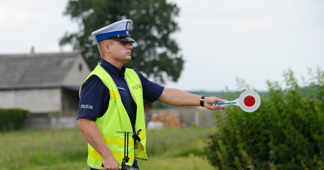 Policjanci będą zwracać uwagę nie tylko na zachowanie kierowców, ale również pieszych i rowerzystów /Adam Staśkiewicz /East News