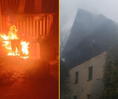 Policjanci i strażacy ratowali złodzieja. Kradzież poszła nie po jego myśli