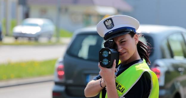 Policjanci mają zabierać prawa jazdy / Fot: Piotr Jedzura /Reporter