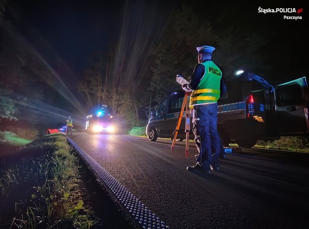 Policjanci na miejscu wypadku /Policja Śląska /