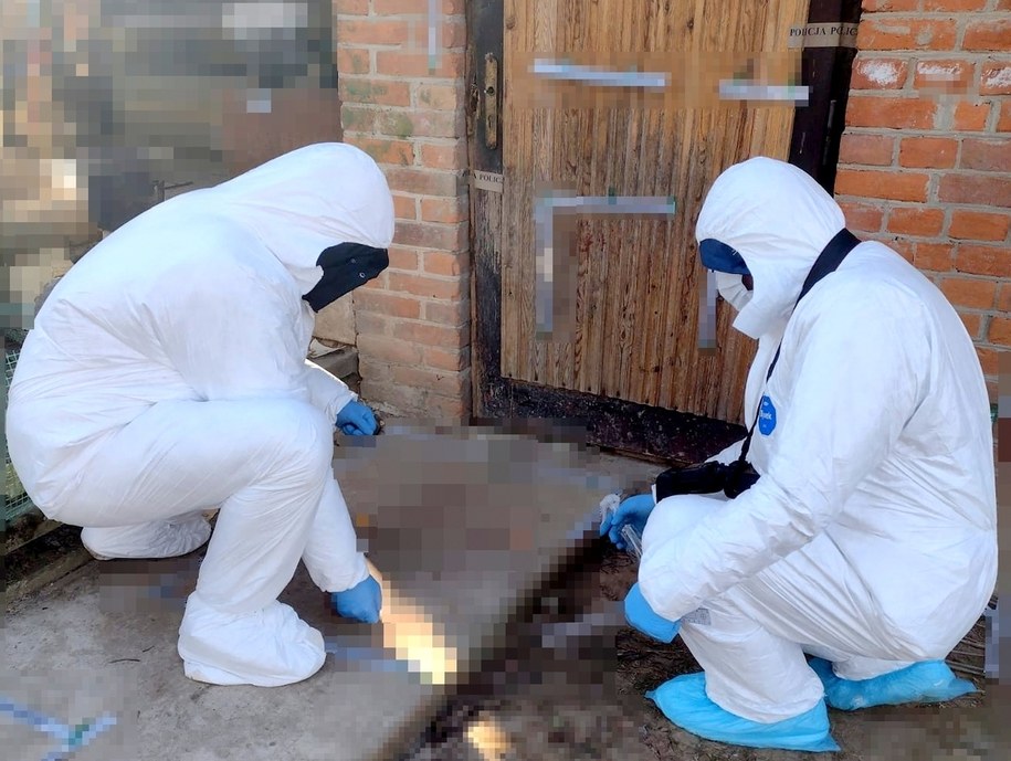 Policjanci na miejscu zbrodni /KPP Kraśnik /Policja