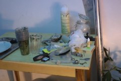 Policjanci odkryli plantację konopi indyjskich pod Bydgoszczą