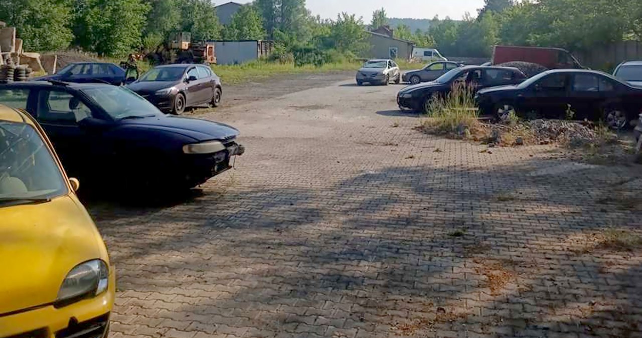 Policjanci odzyskali skradzione samochody. Złodziejom grozi 10 lat /Policja