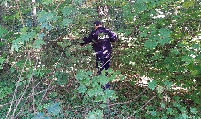 Policjanci podczas poszukiwań /Policja